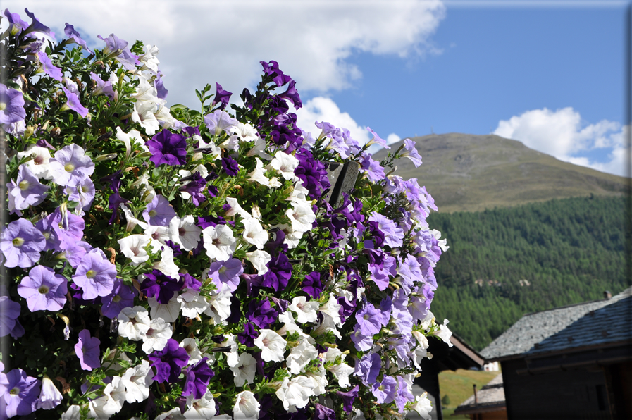 foto Livigno